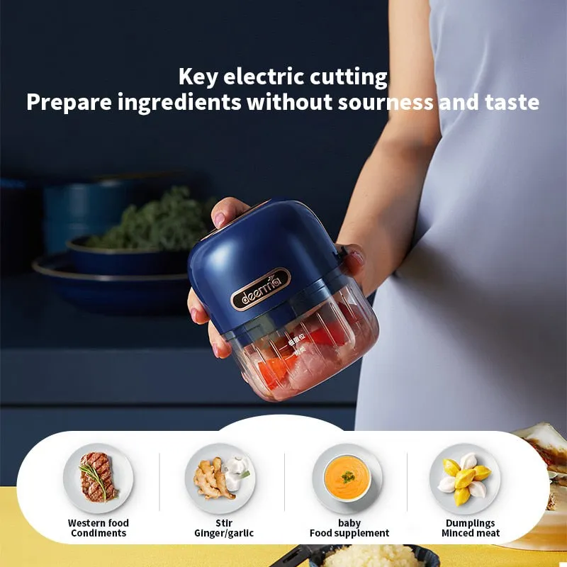 Electric Mini Food Grinder