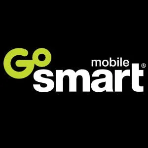 Go Smart Wireless Land Line $15 Unlimited Talk  Long Distance   Sim Kit   New Number