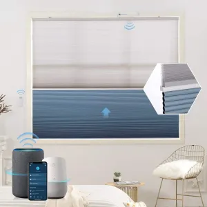 Graywind Motorized Day/Night Cellular Shades | Blackout Series | Customizable