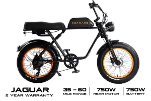 Perraro Jaguar Fat Tire Electric Bike 750W